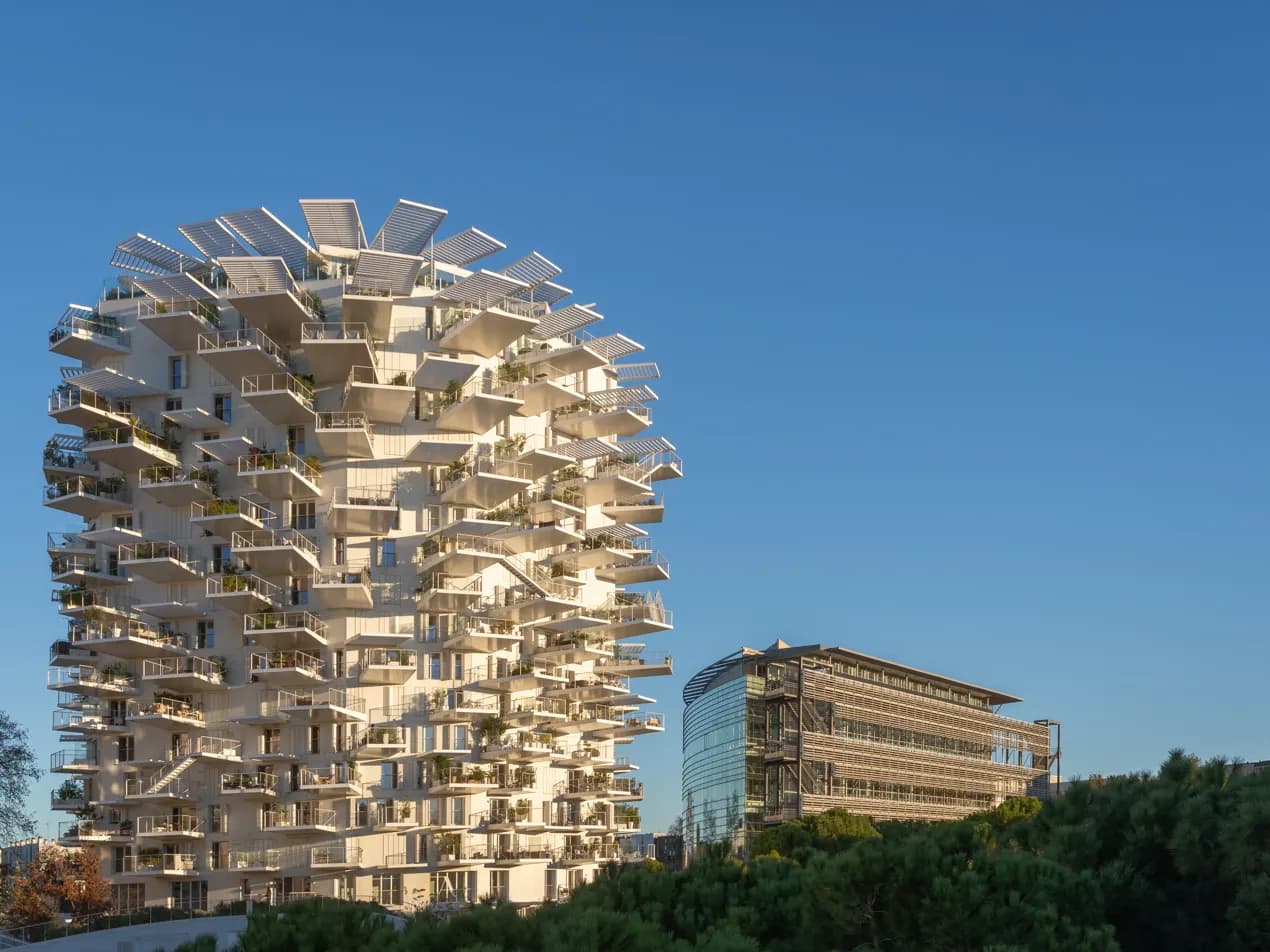 L'Arbre Blanc, Montpellier
