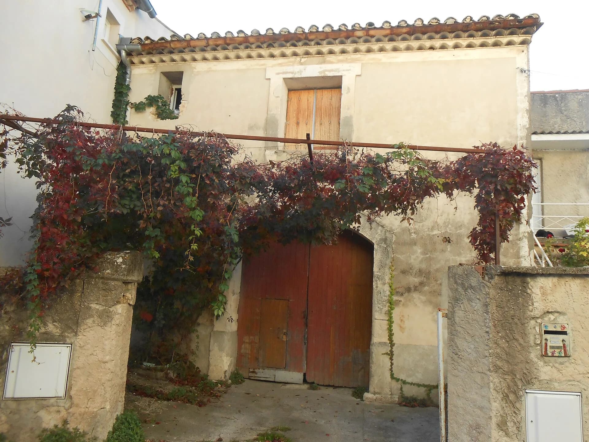 Une maison ancienne de Clapiers, sa porte charretière et sa vigne vierge