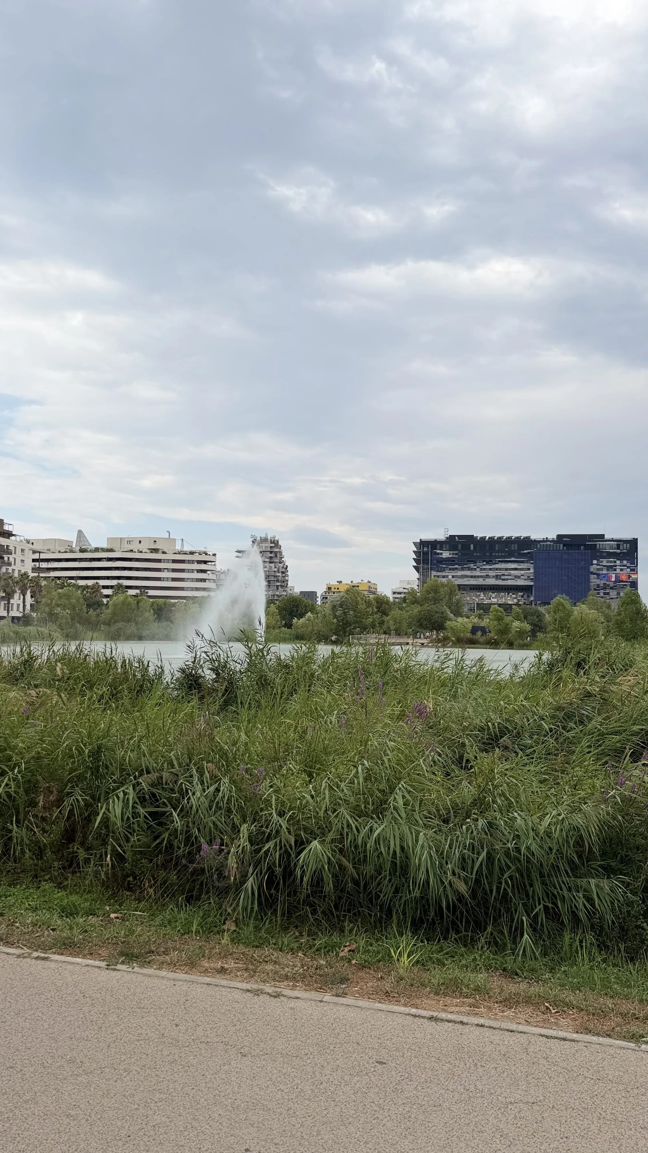 Le bassin Jacques-Cœur, quartier Port Marianne à Montpellier