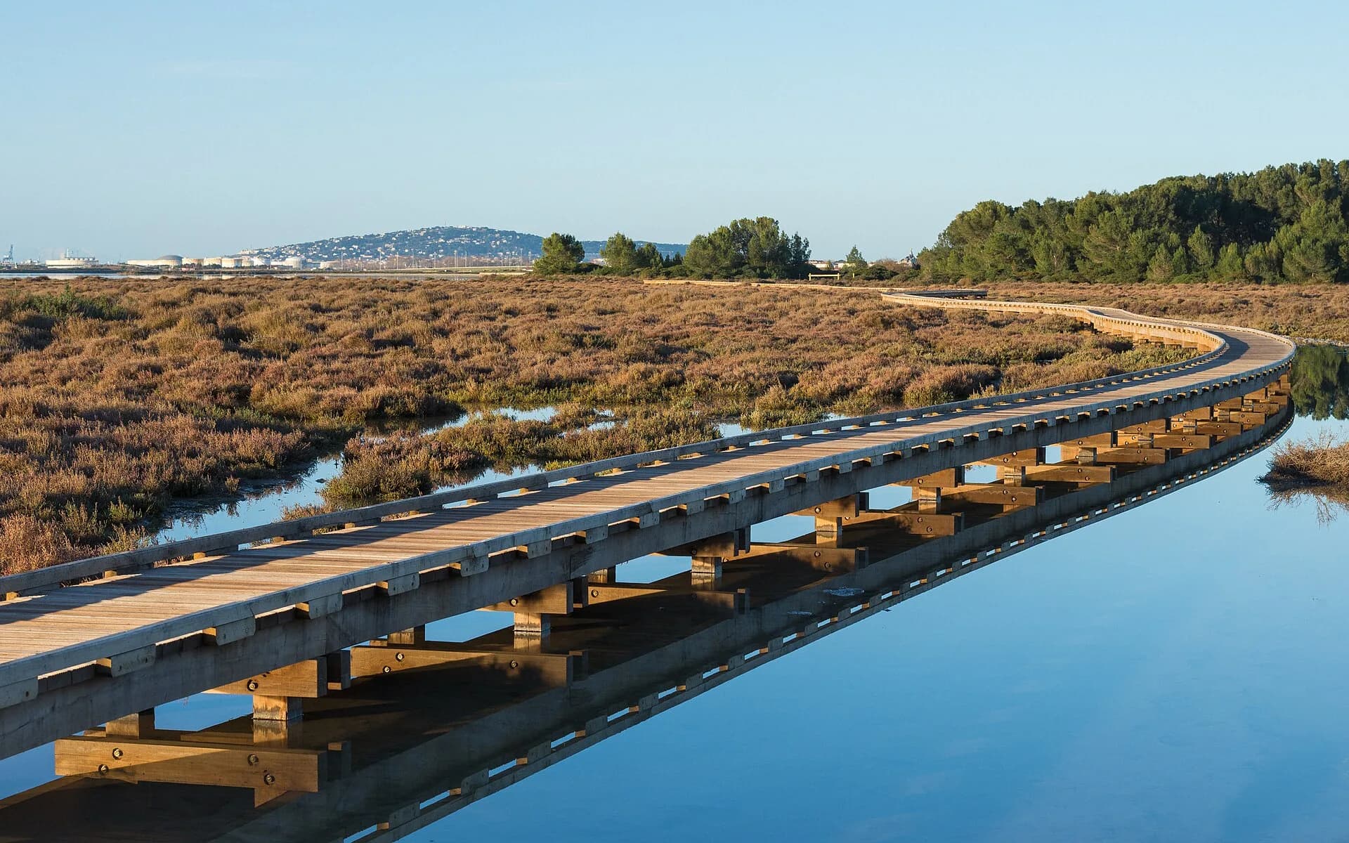 La passerelle de bois sur l'étang, à Vic-la-Gardiole