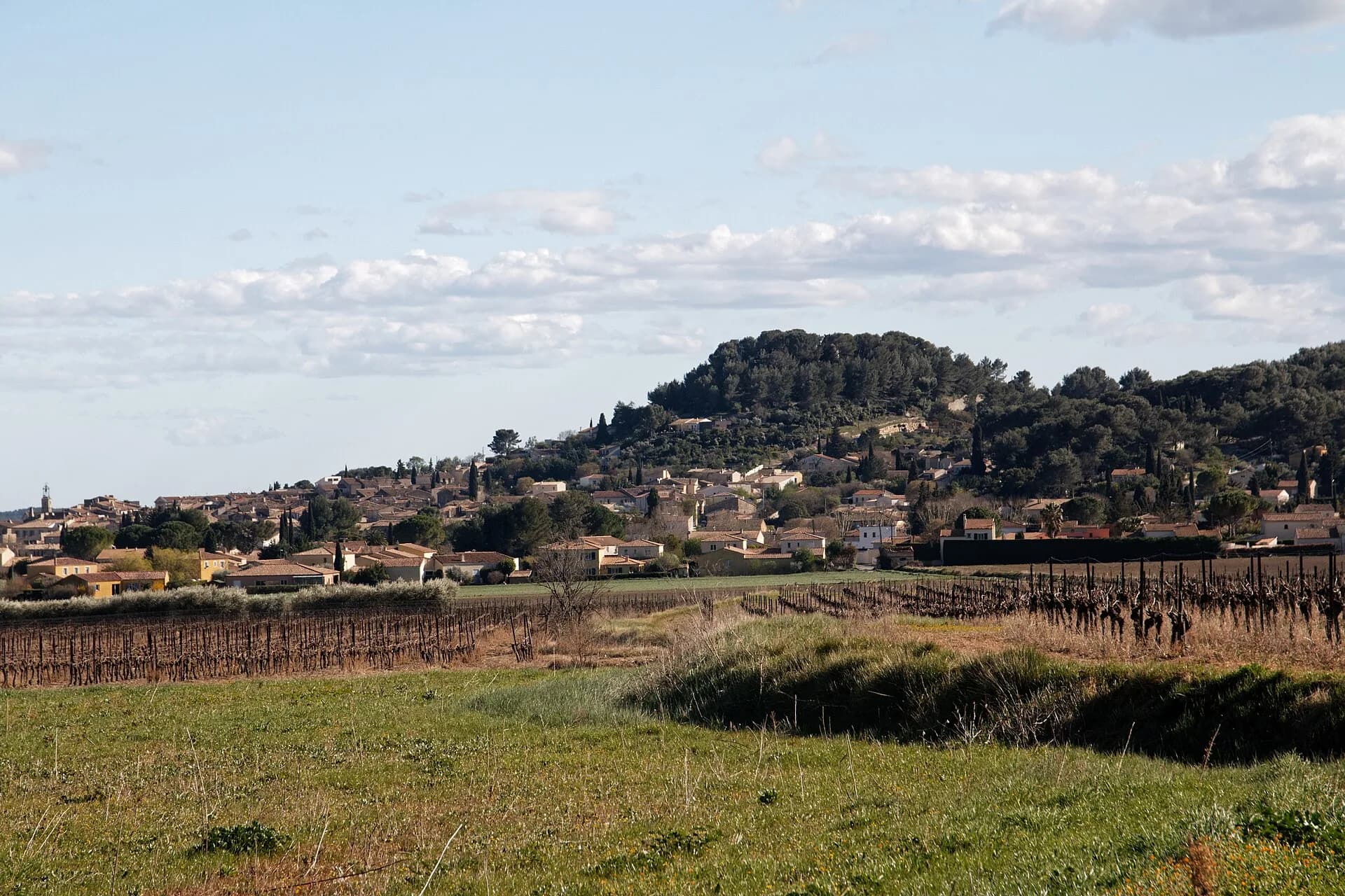 Le village de Calvisson vu depuis les vignes, adossé à sa colline boisée