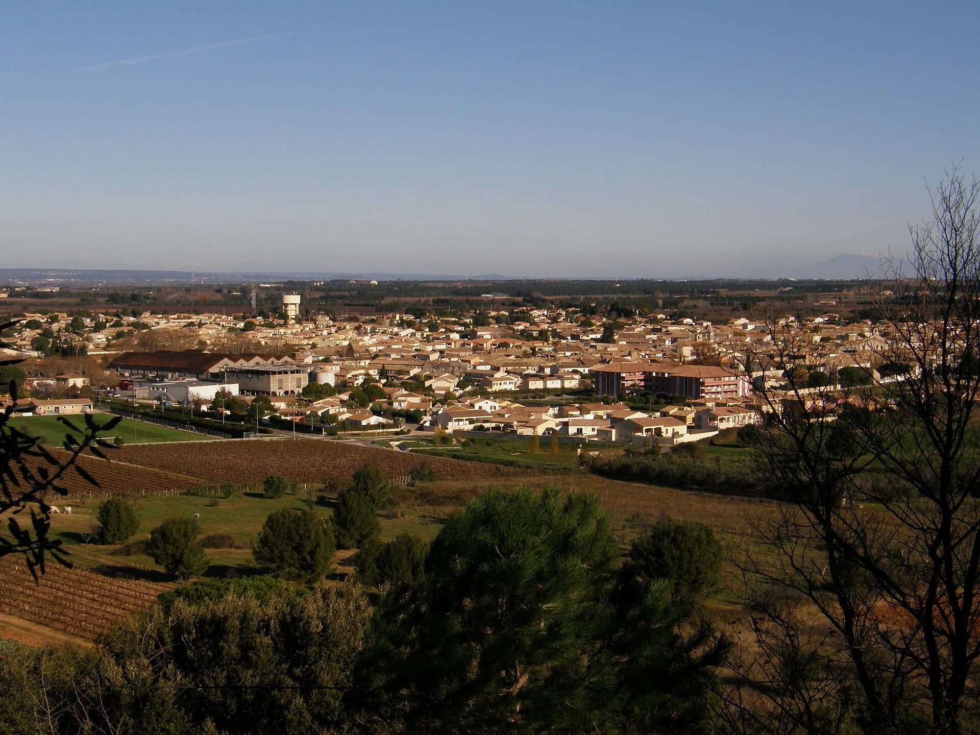 Le village de Générac vu depuis les vignes, ses toits de tuiles et la plaine au fond