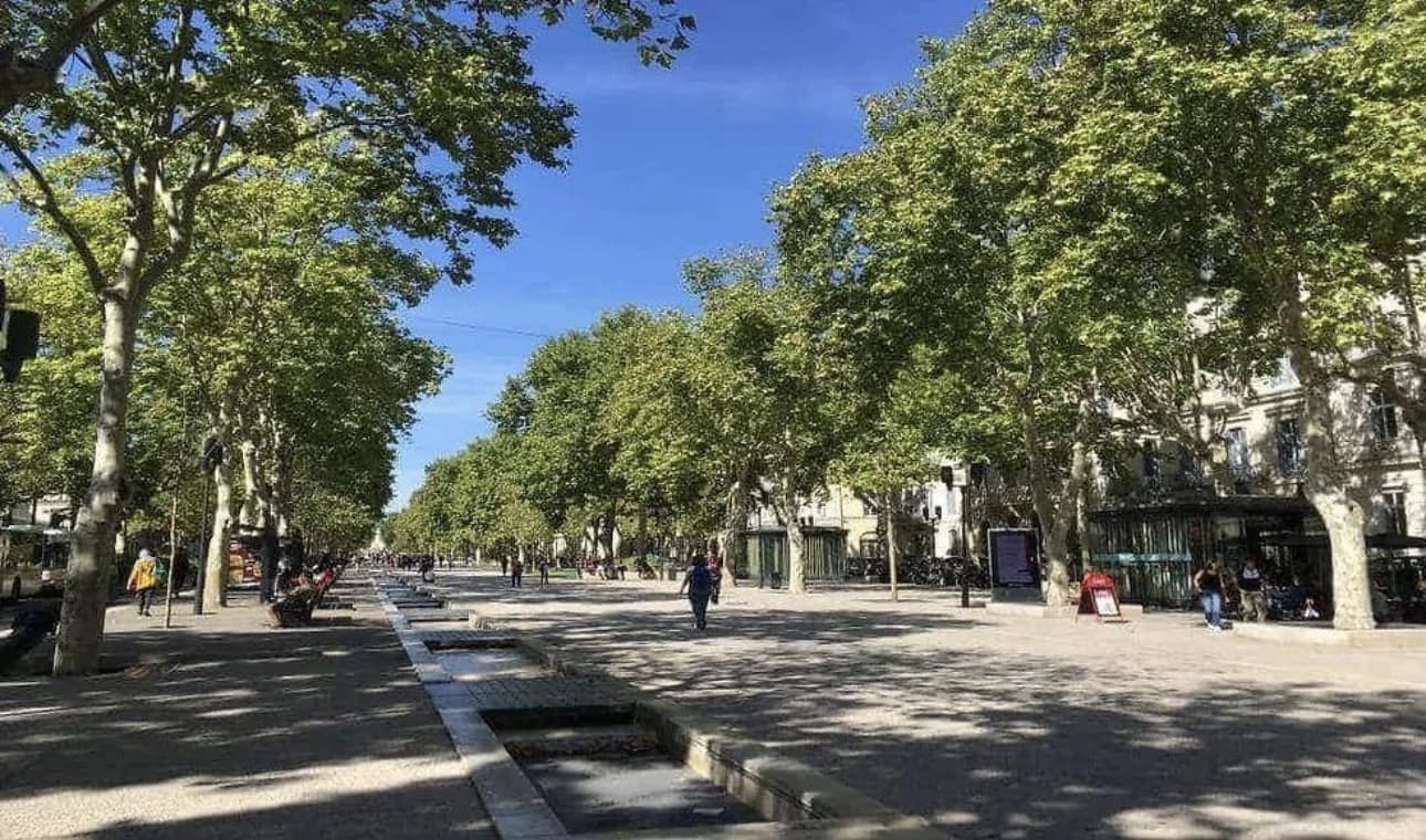 L'avenue Jean-Jaurès, Nîmes