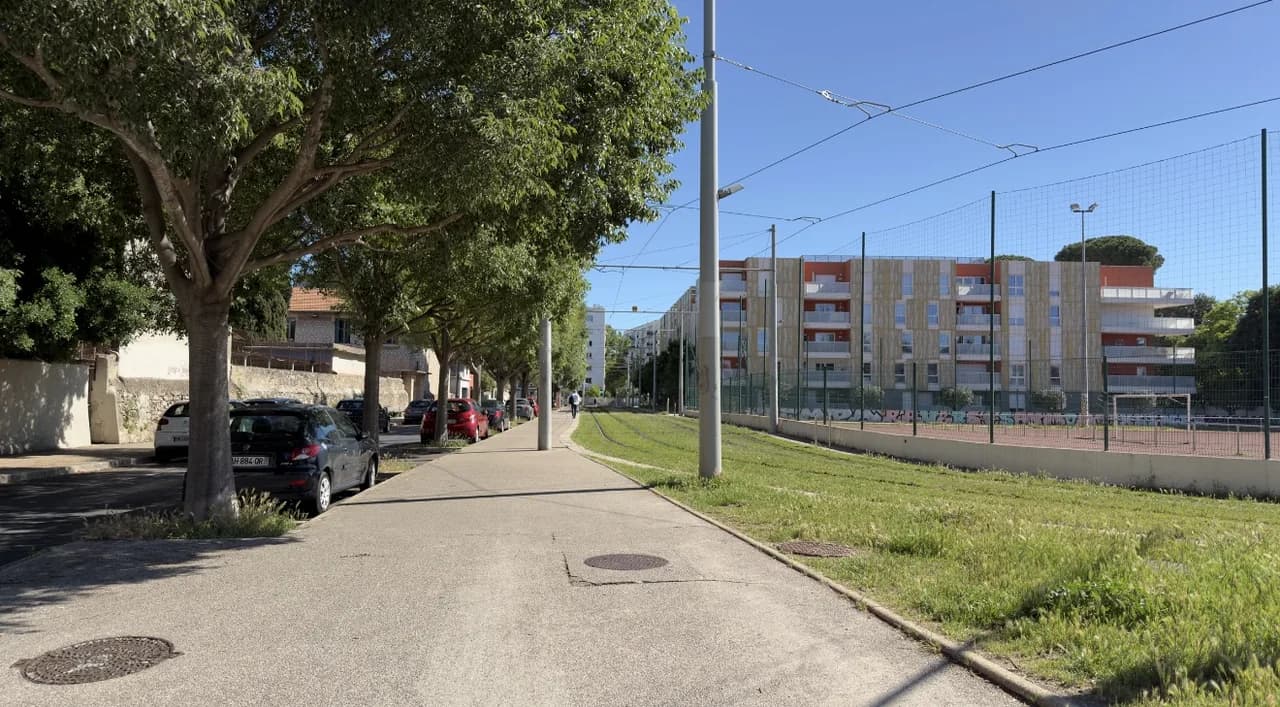 Une avenue bordée d’arbres et la ligne de tramway, aux Beaux-Arts à Montpellier