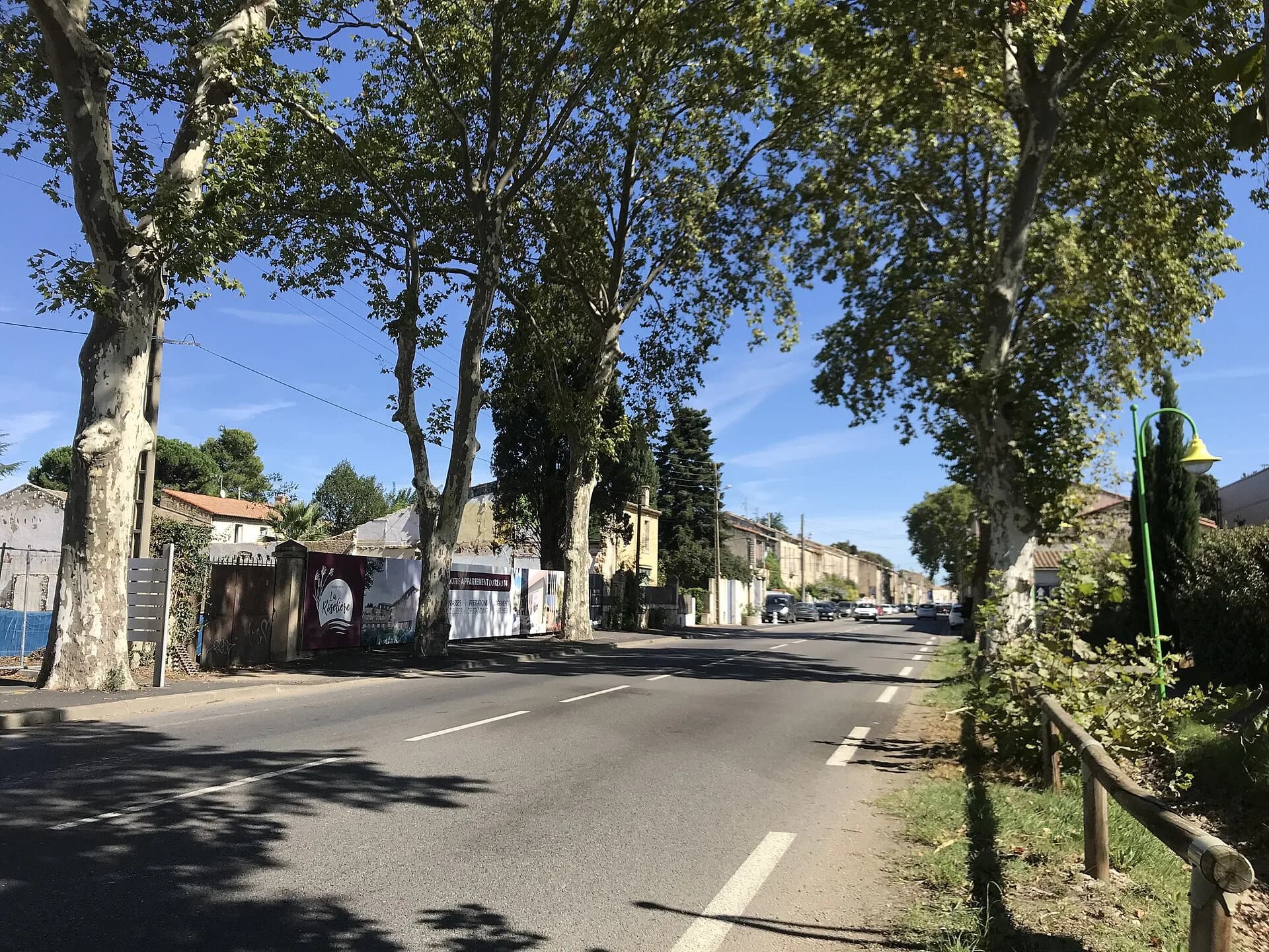 La rue de Colombiers à Baillargues, bordée de platanes