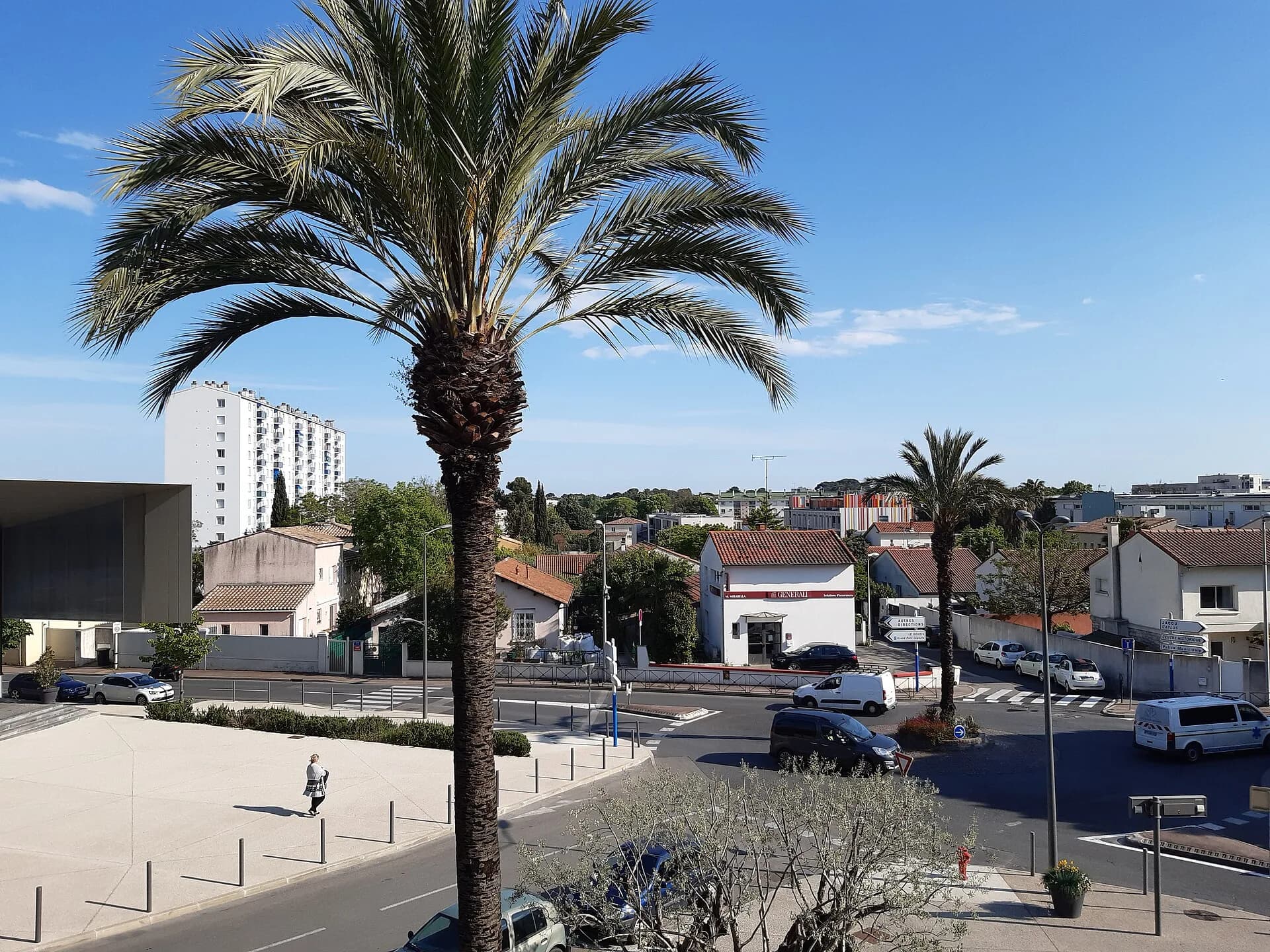 Les toits de Castelnau-le-Lez sous les palmiers