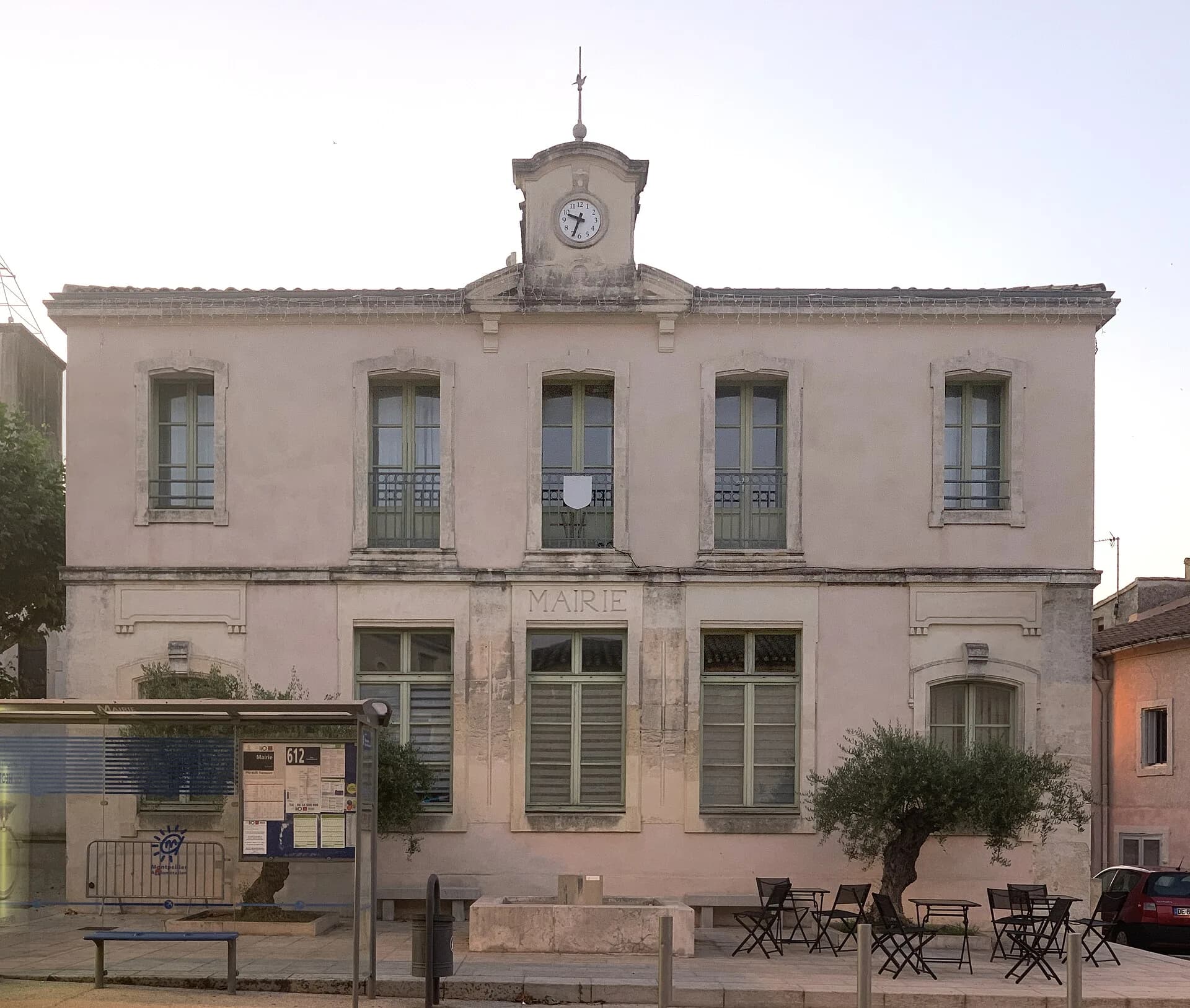 La mairie de Restinclières et son olivier