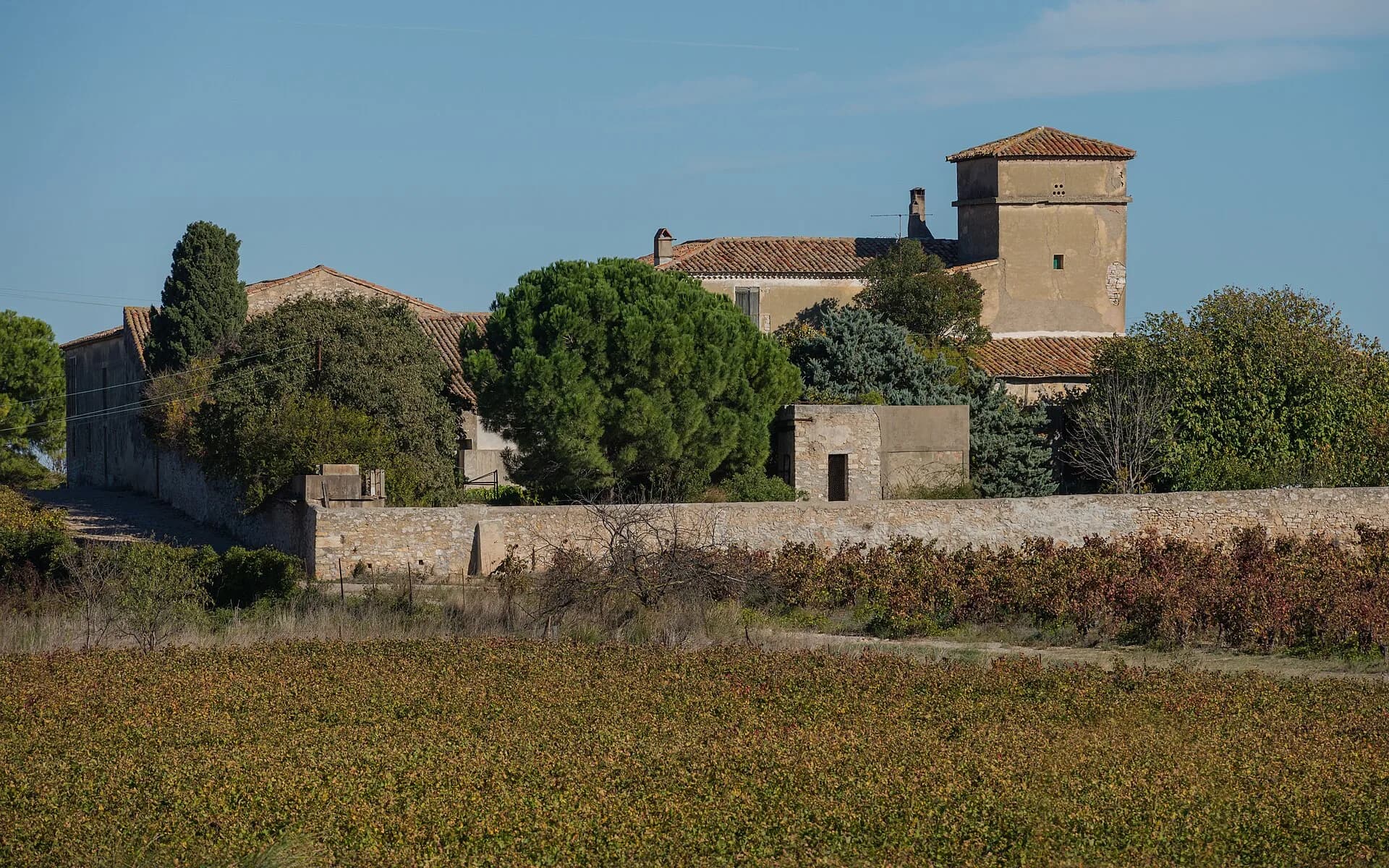Le château d'Exindre et ses vignes, à Villeneuve-lès-Maguelone
