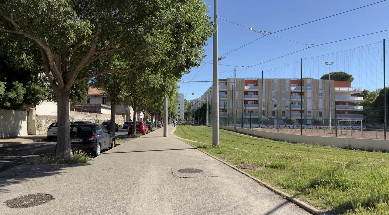 Avenue arborée aux Beaux-Arts Montpellier, voie de tramway engazonnée et city-stade, quartier vert et familial